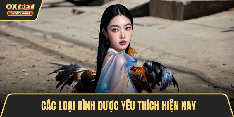 Các loại hình được yêu thích hiện nay