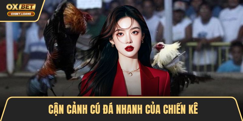 Cận cảnh cú đá nhanh của chiến kê