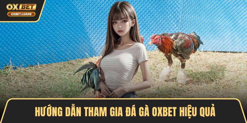 Hướng dẫn tham gia đá gà OXBET hiệu quả