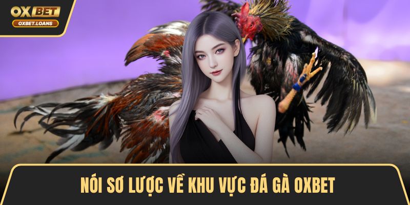 Nói sơ lược về khu vực đá gà OXBET