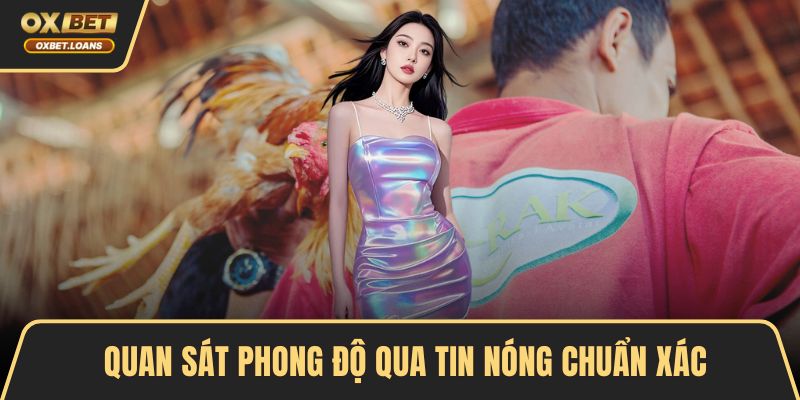 Quan sát phong độ qua tin nóng chuẩn xác