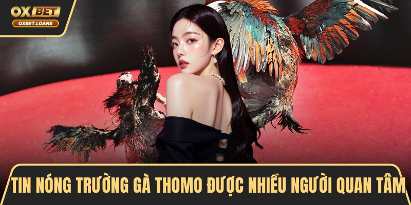 Tin nóng trường gà Thomo được nhiều người quan tâm