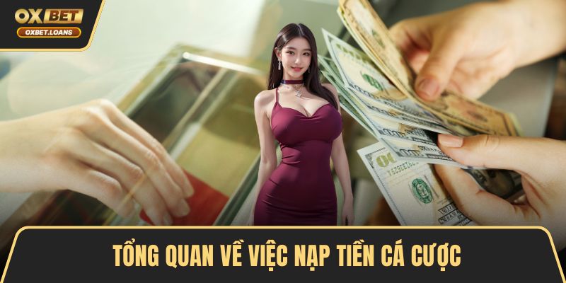 Tổng quan về việc nạp tiền cá cược